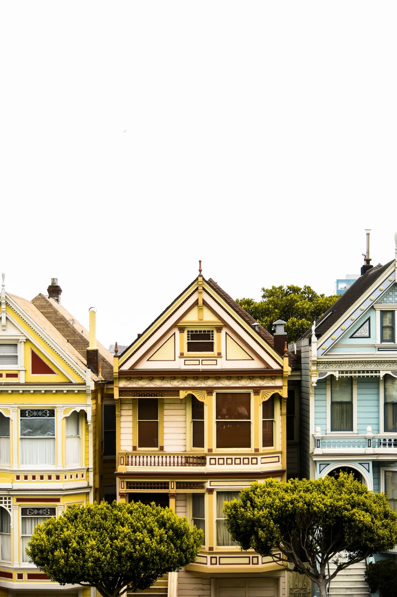 Painted Ladies
